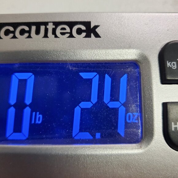 La Perla Womens Open Back Thong Bodysuit Size 34 Tan Shapewear Stretch Neutral - Picture 14 of 15